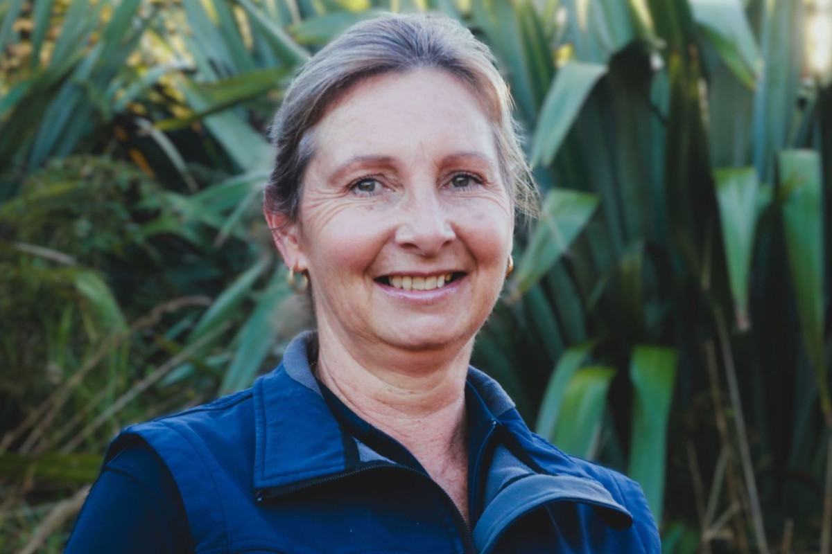 Nikki Cliffside Manager v2