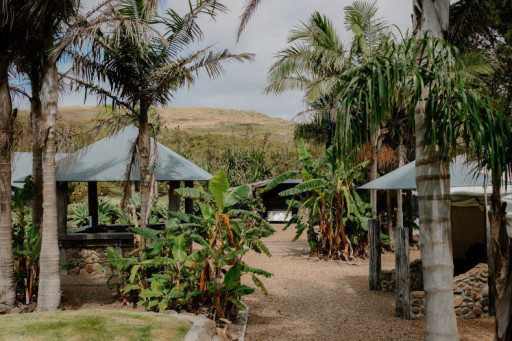 claireriversphotography jess tony cliffside aucklandwedding 222