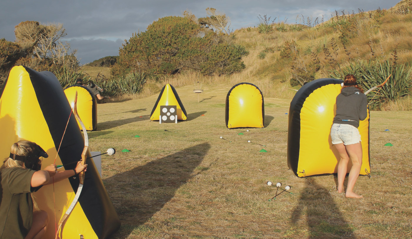 pic adventures combatarrow v2